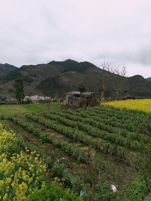 上红科乡天气预报更新通知