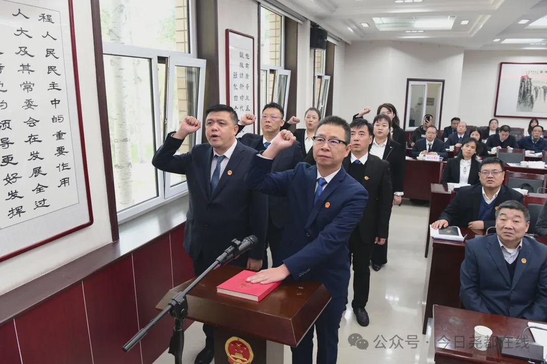 西市区人民政府办公室人事任命，构建高效团队，开启区域发展新篇章